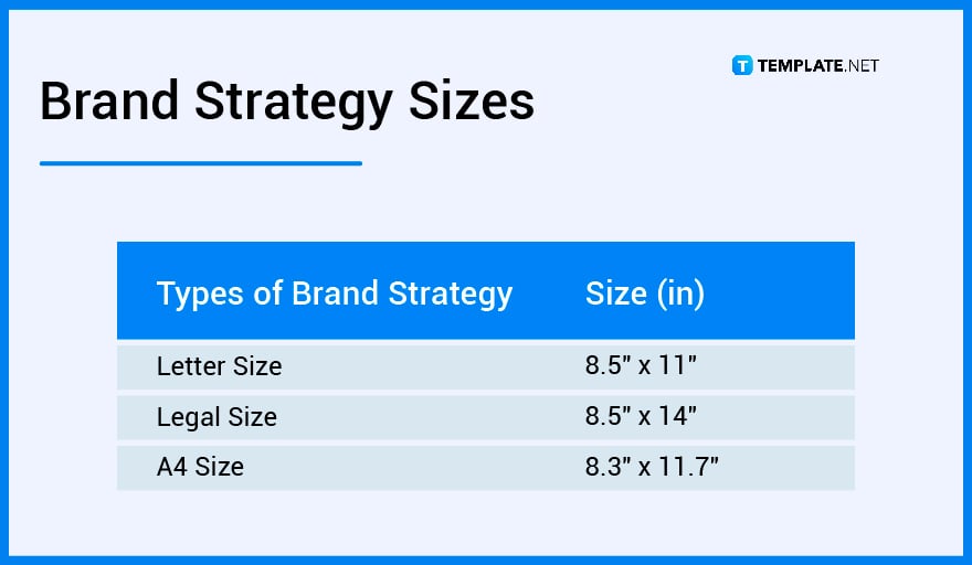 brand strategy sizes