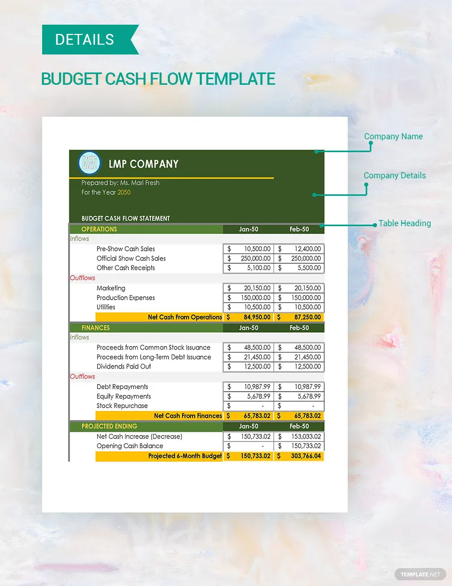 budget cash flow