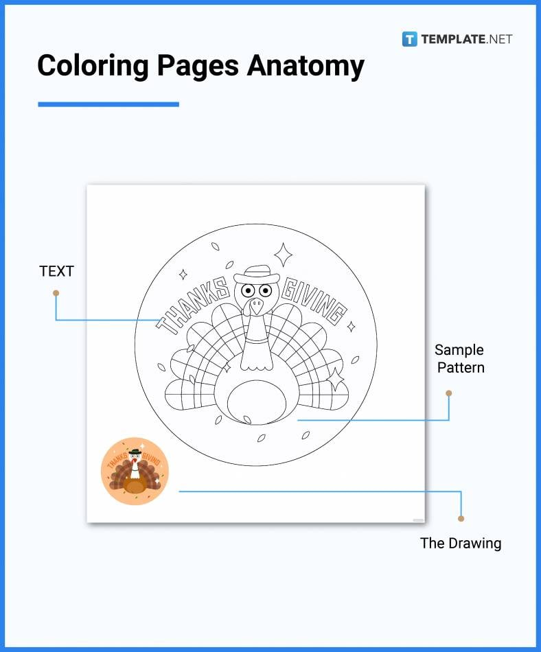 coloring pages anatomy 788x950