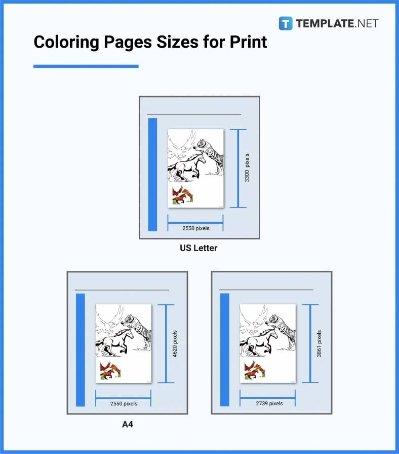 coloring pages sizes for print 788x
