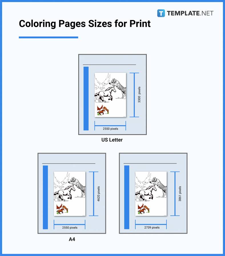Coloring Pages Size Dimension, Inches, mm, cms, Pixel