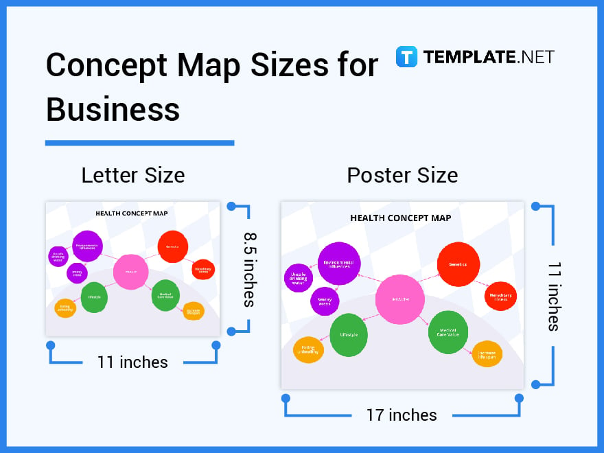 concept map sizes for business
