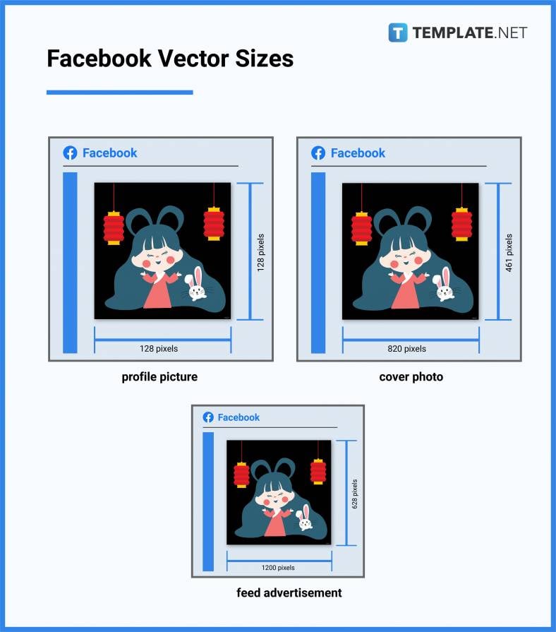 facebook vector sizes 788x