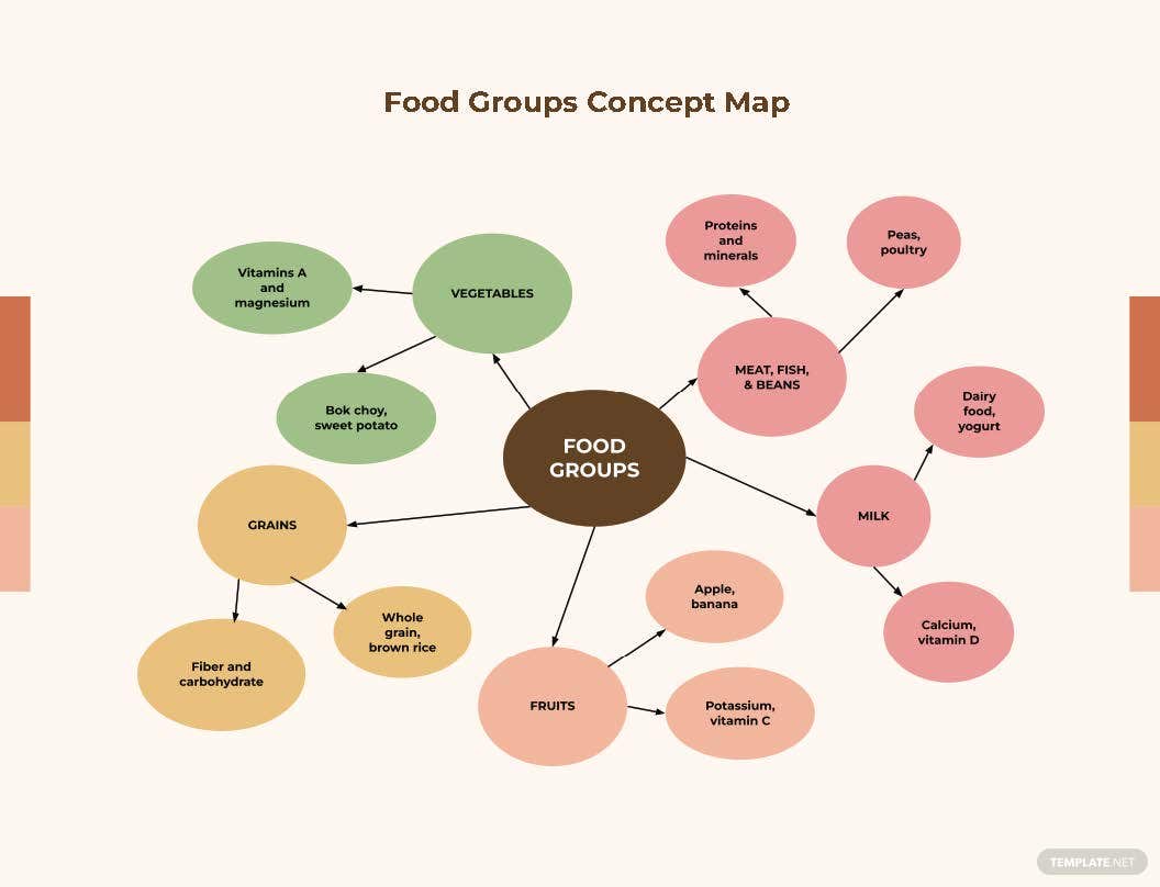 food groups concept map ideas and examples