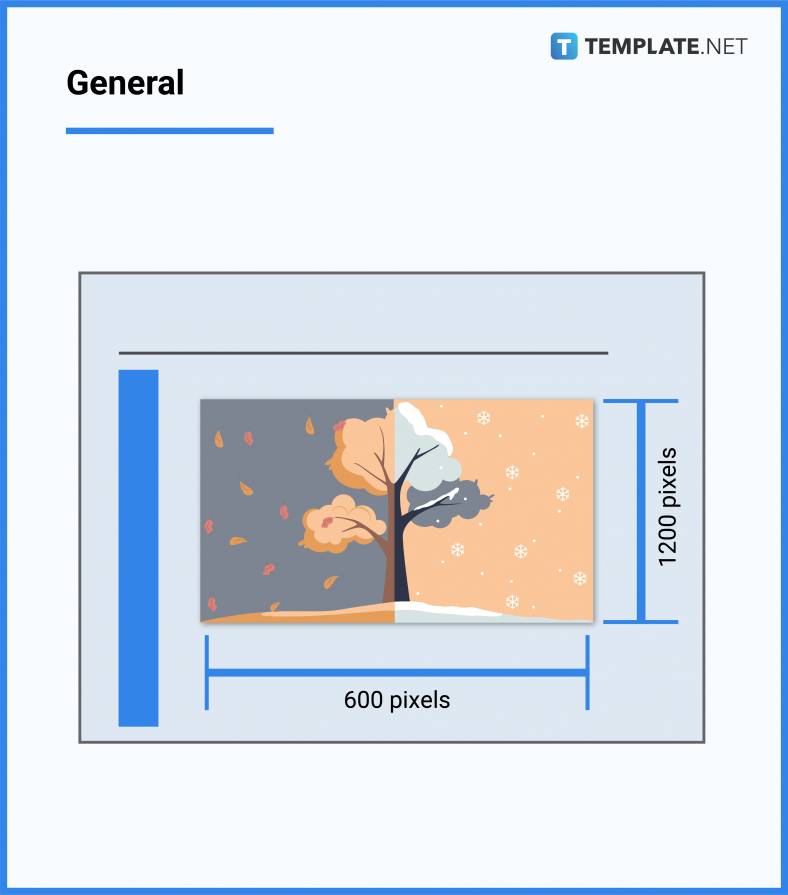 Animated Sticker Size - Dimension, Inches, mm, cms, Pixel