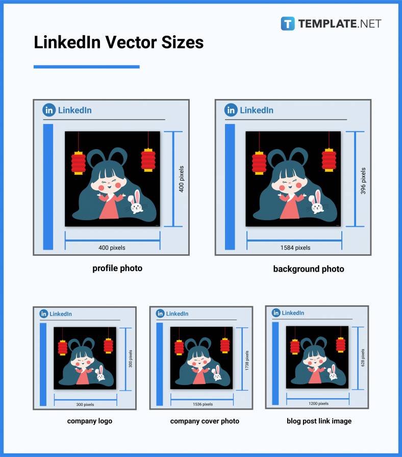 linkedin vector sizes 788x