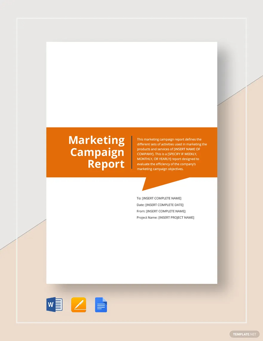 marketing campaign report