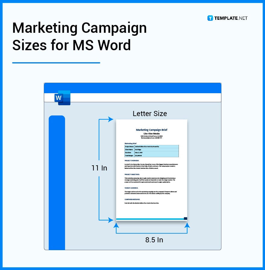 marketing campaign sizes for ms word