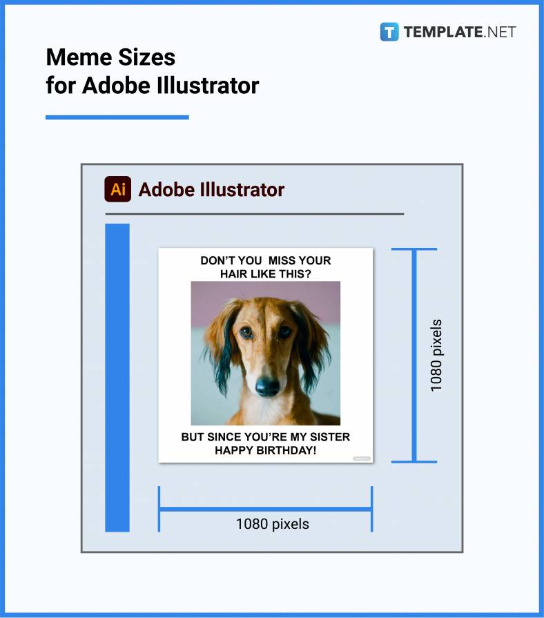 meme sizes for adobe illustrator 788x