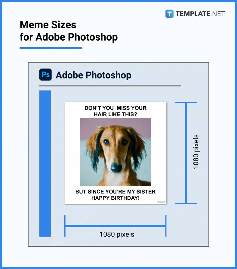 meme sizes for adobe photoshop 788x