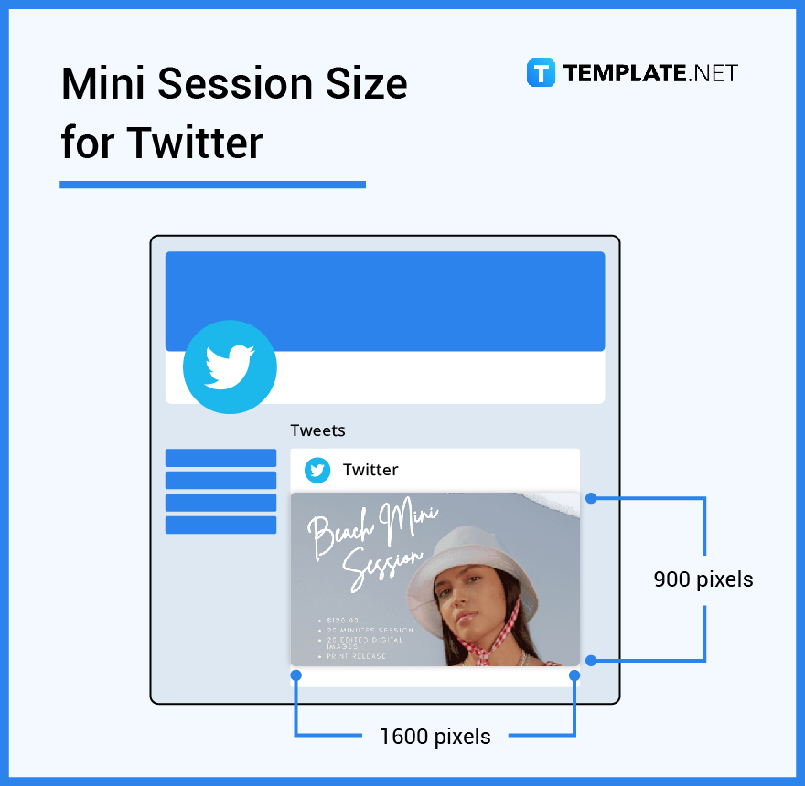 mini session size for twitter
