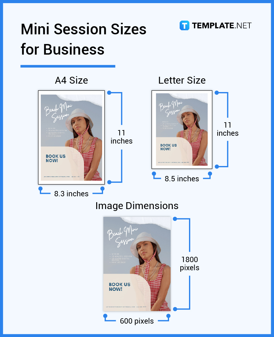 mini session sizes for business