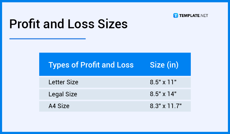 profit and loss statement sizes