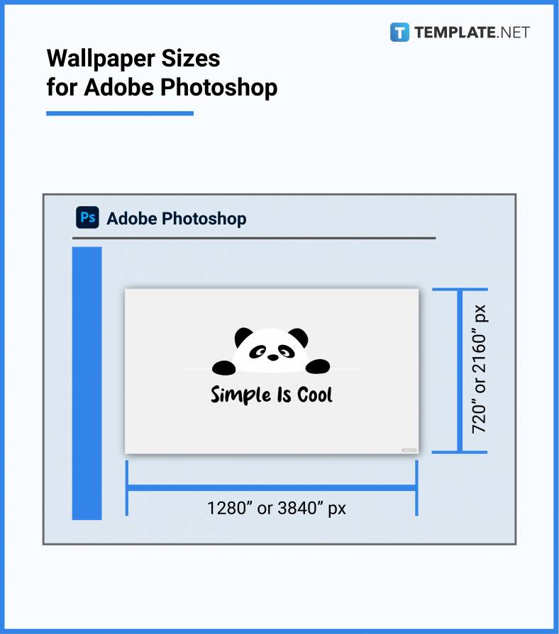 wallpaper sizes for adobe photoshop 788x