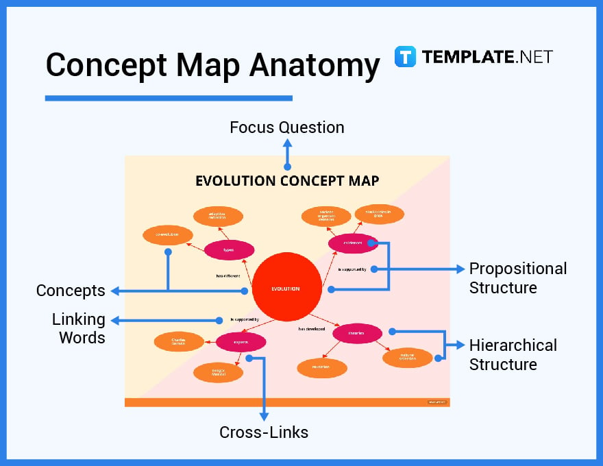 whats in a concept map parts