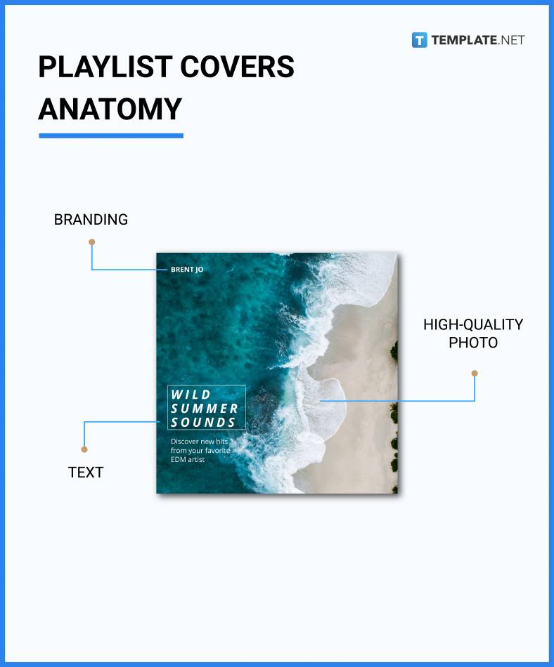 Playlist Covers What Is a Playlist Cover? Definition, Types, Uses