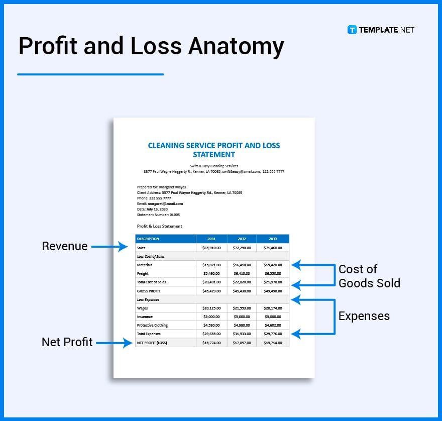 what’s in a profit and loss statement
