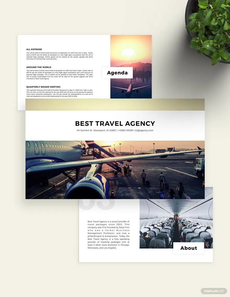 idées et exemples de présentation d'agence de voyage sur le thème de l'aviation