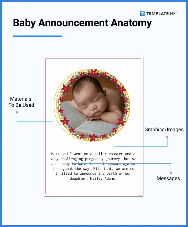 baby announcement anatomy 788x950