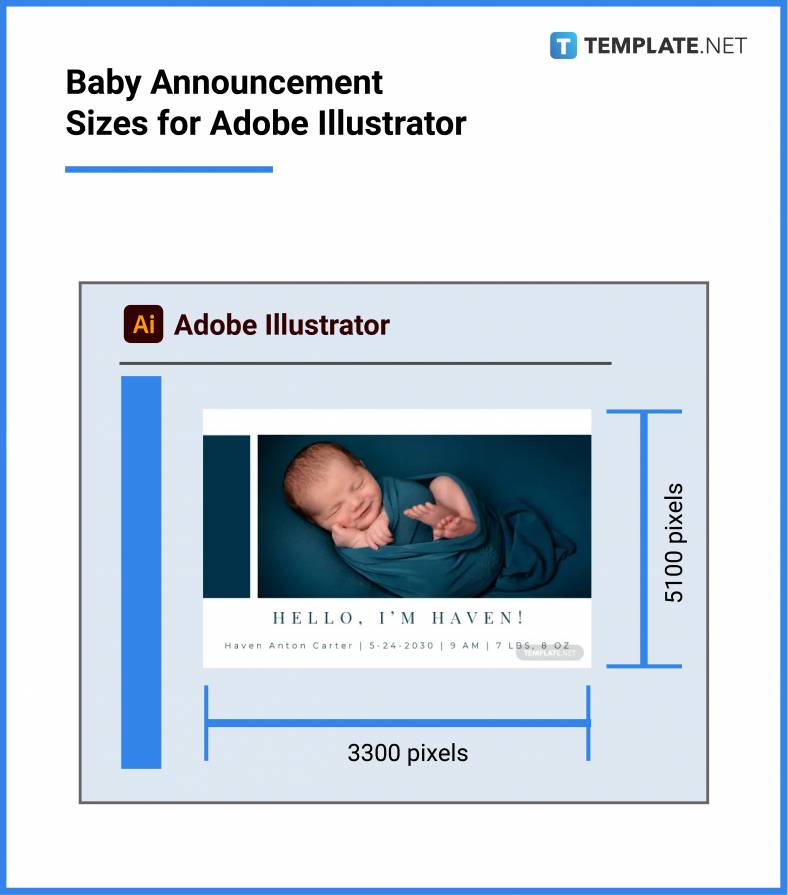 baby announcement sizes for adobe illustrator 788x