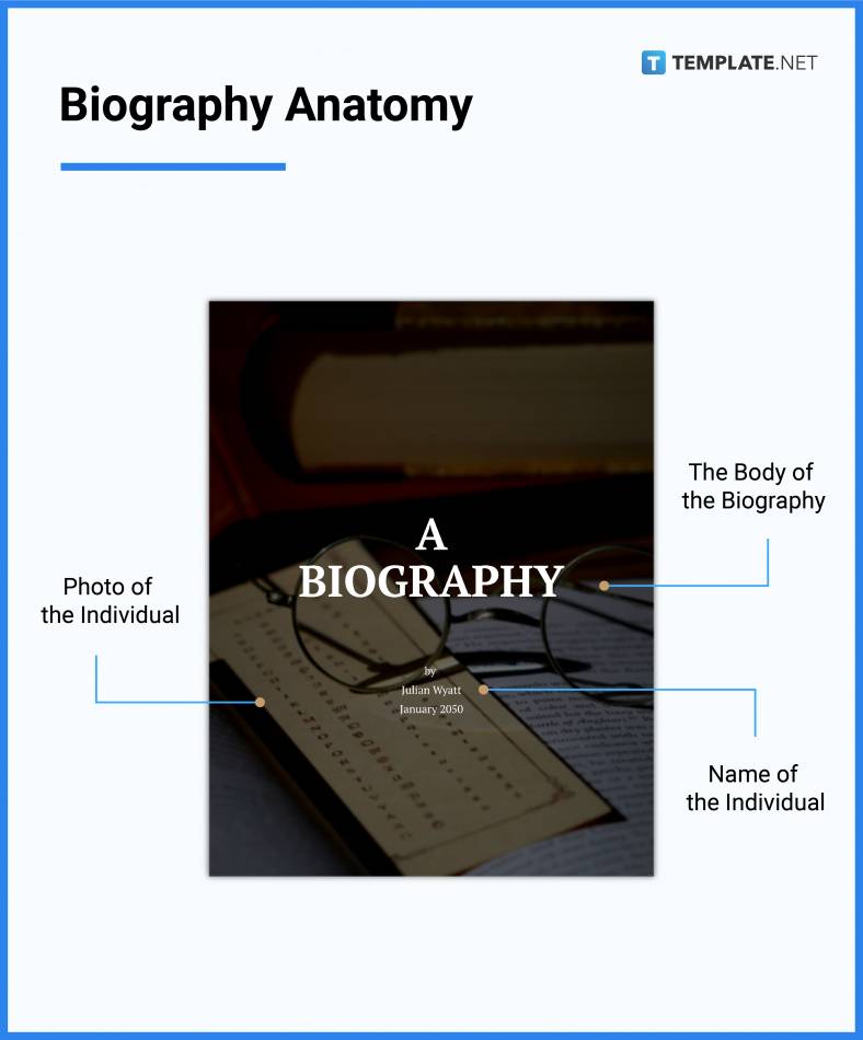 biography definition origin