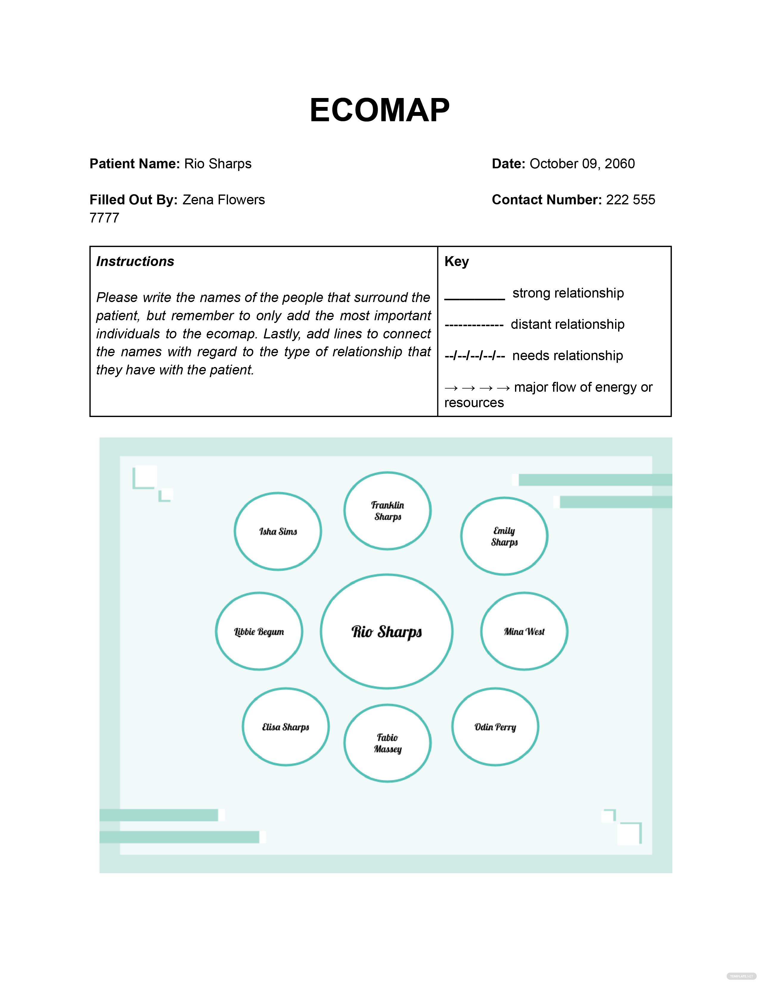 ecomap-what-is-an-ecomap-definition-types-uses