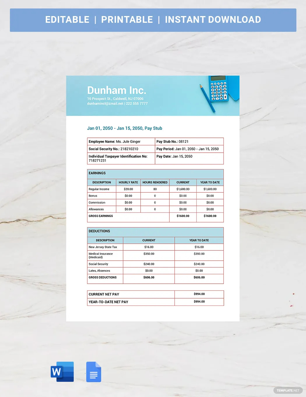 blank payslip ideas and examples