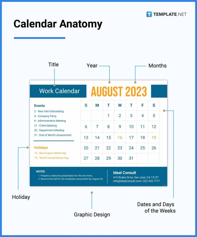 calendar anatomy 788x950