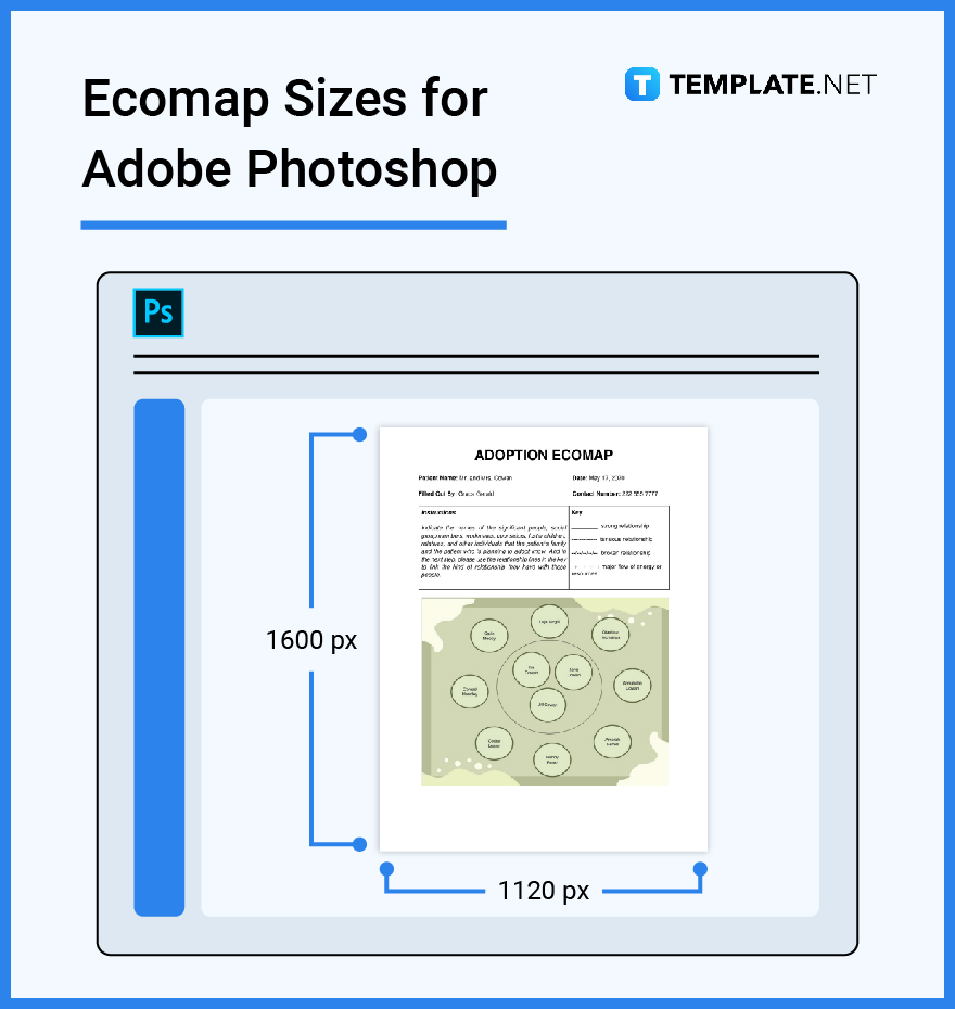 ecomap sizes for adobe photoshop
