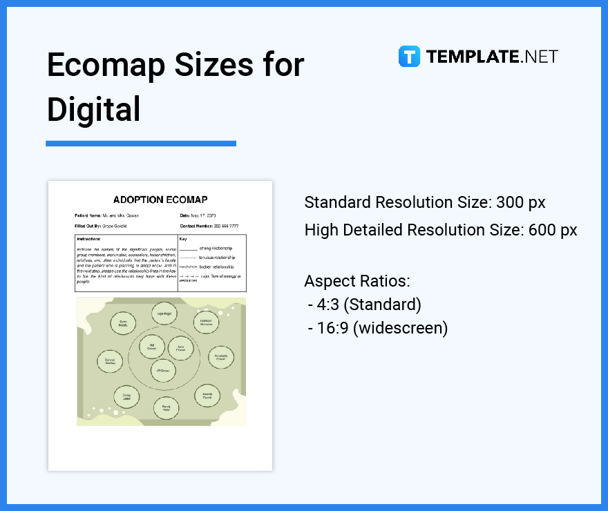 ecomap sizes for digital