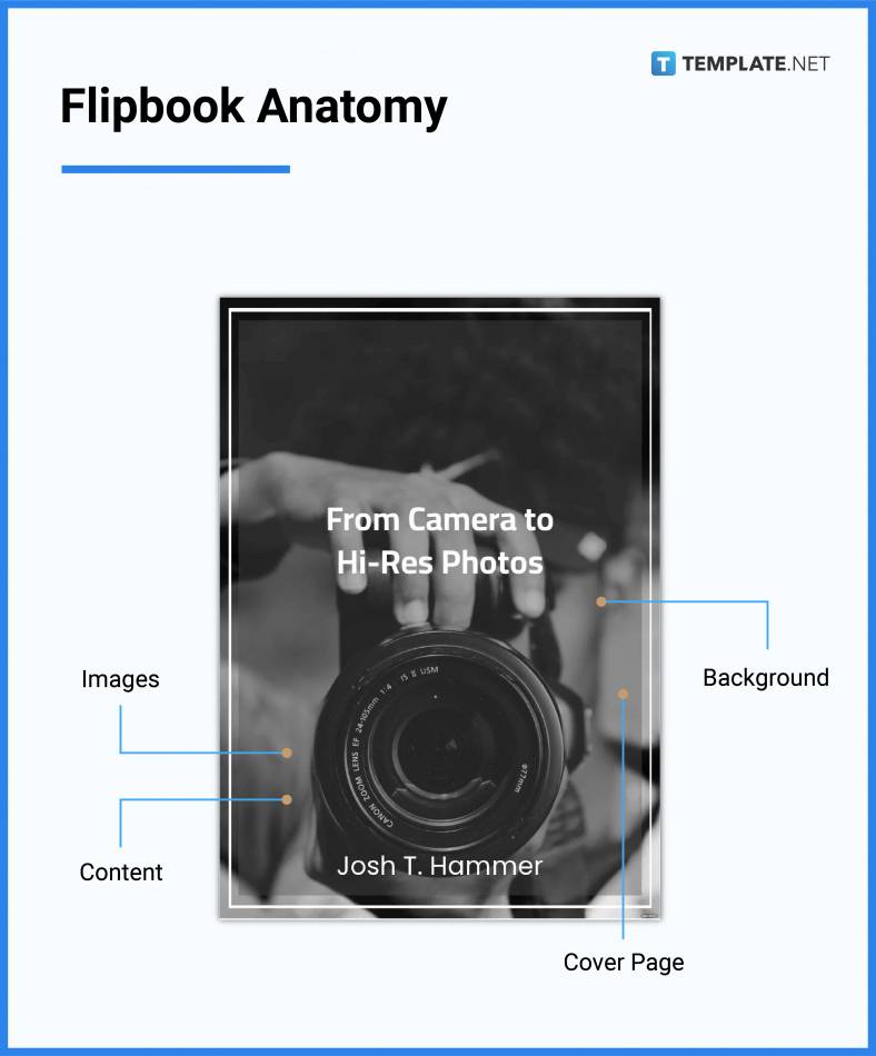 flipbook anatomy 788x950