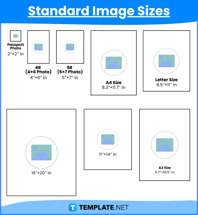 Image Sizes