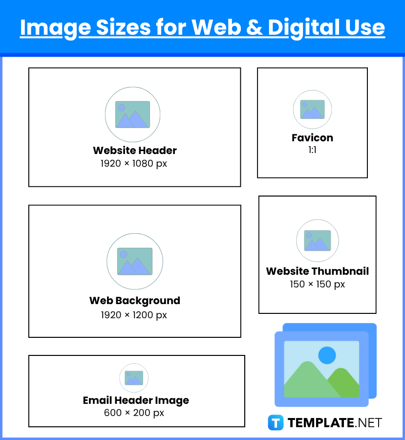 Image Sizes
