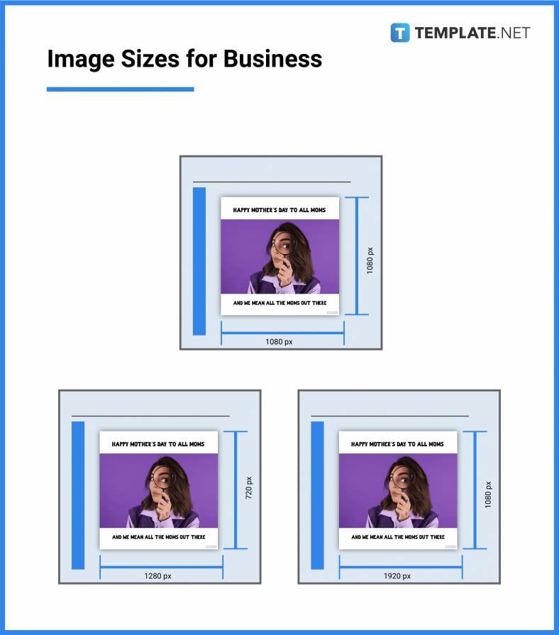image sizes for business 788x