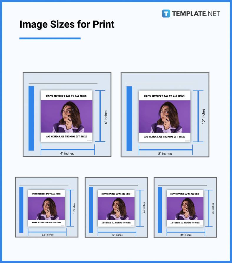 image-size-dimensions-inches-mm-cms-pixels