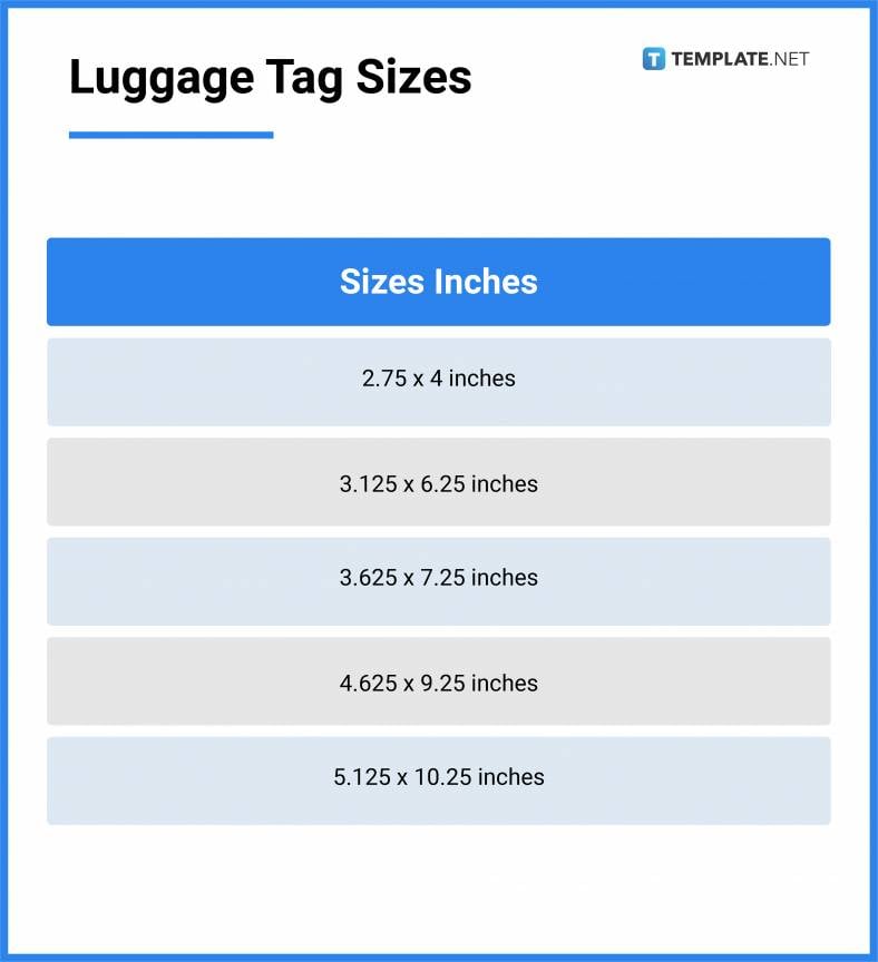 luggage tag sizes 788x