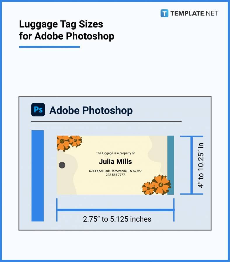 luggage tag sizes for adobe photoshop 788x