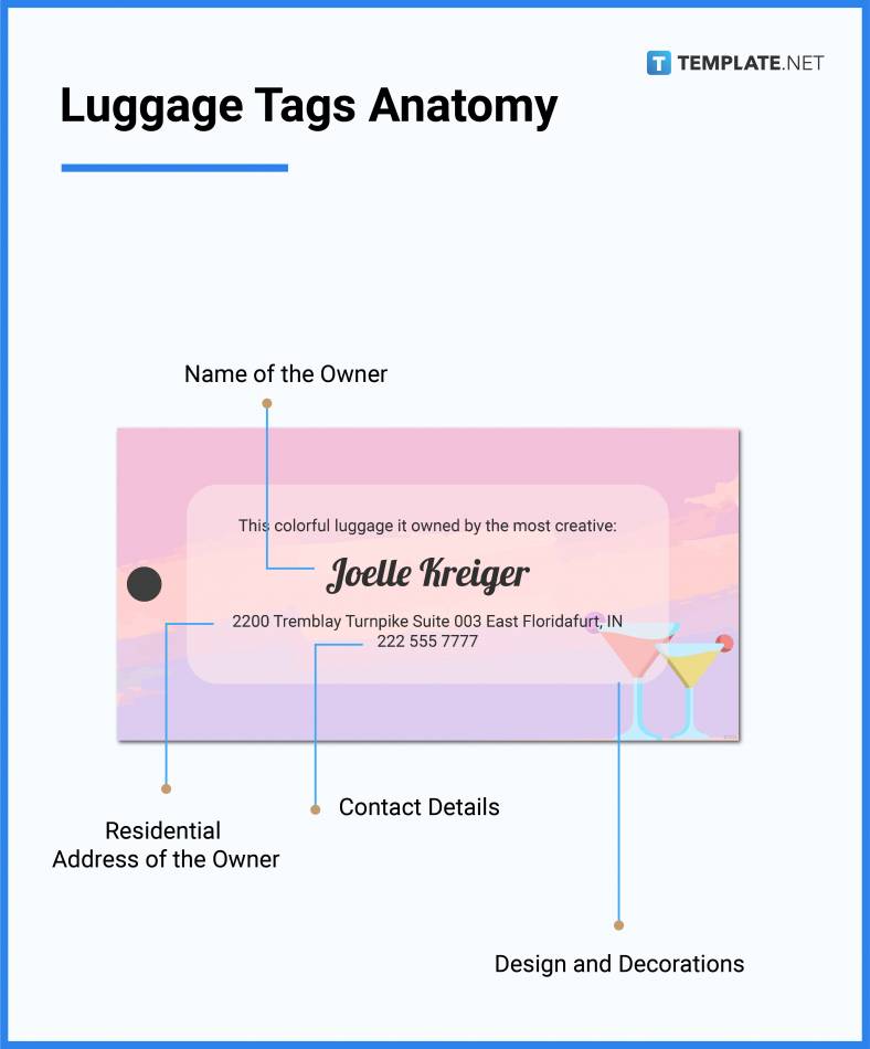luggage tags anatomy 788x950