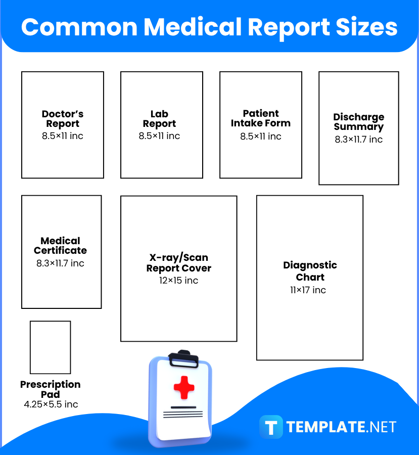 Medical Report Sizes