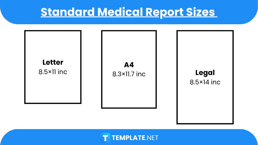 Medical Report Sizes