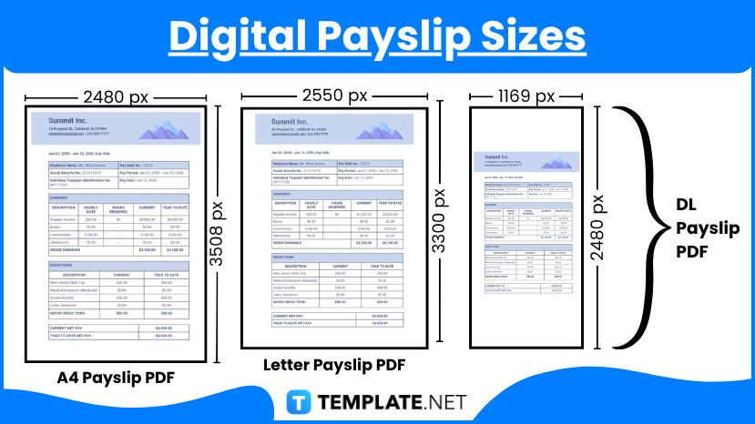 Payslip Sizes