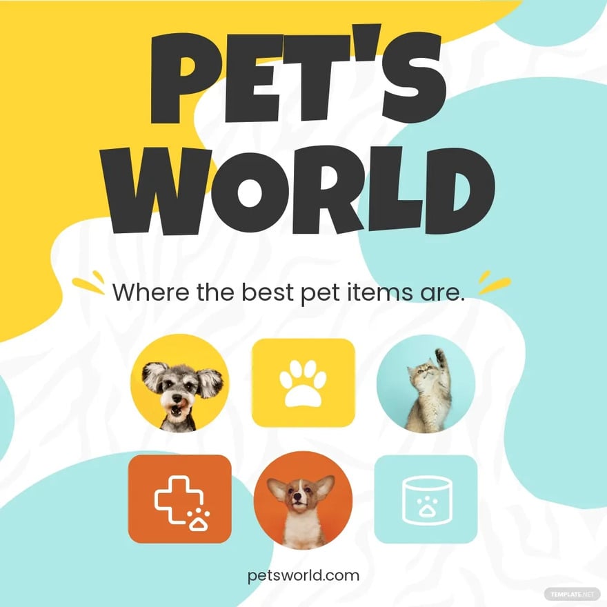 Idées et exemples de publication Instagram pour magasin de commerce électronique pour animaux de compagnie