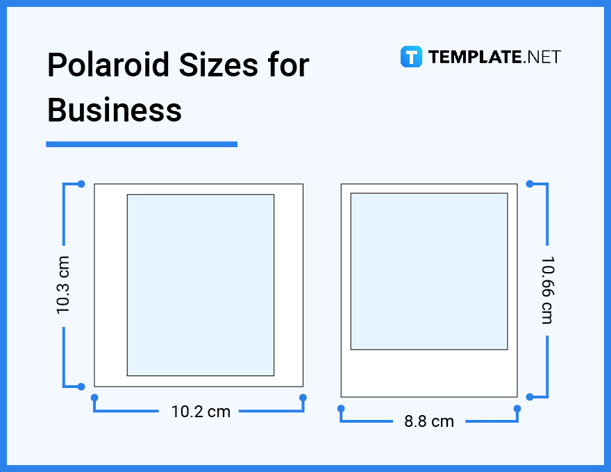 polaroid sizes for business