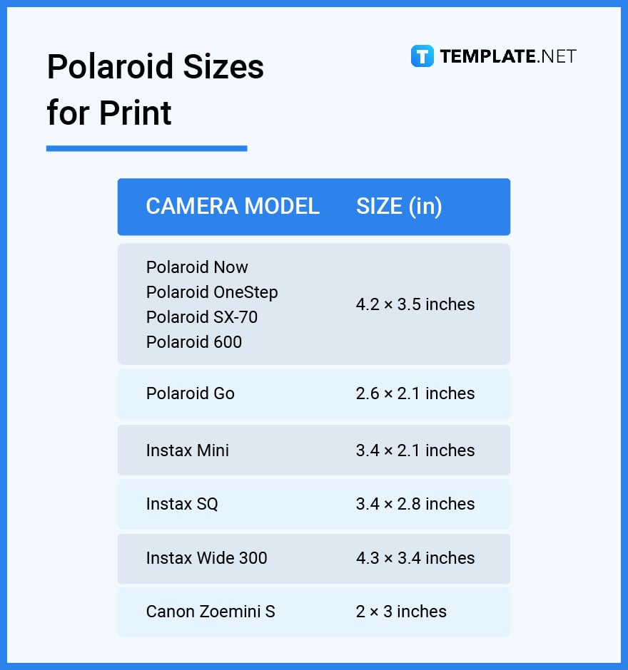 polaroid sizes for print