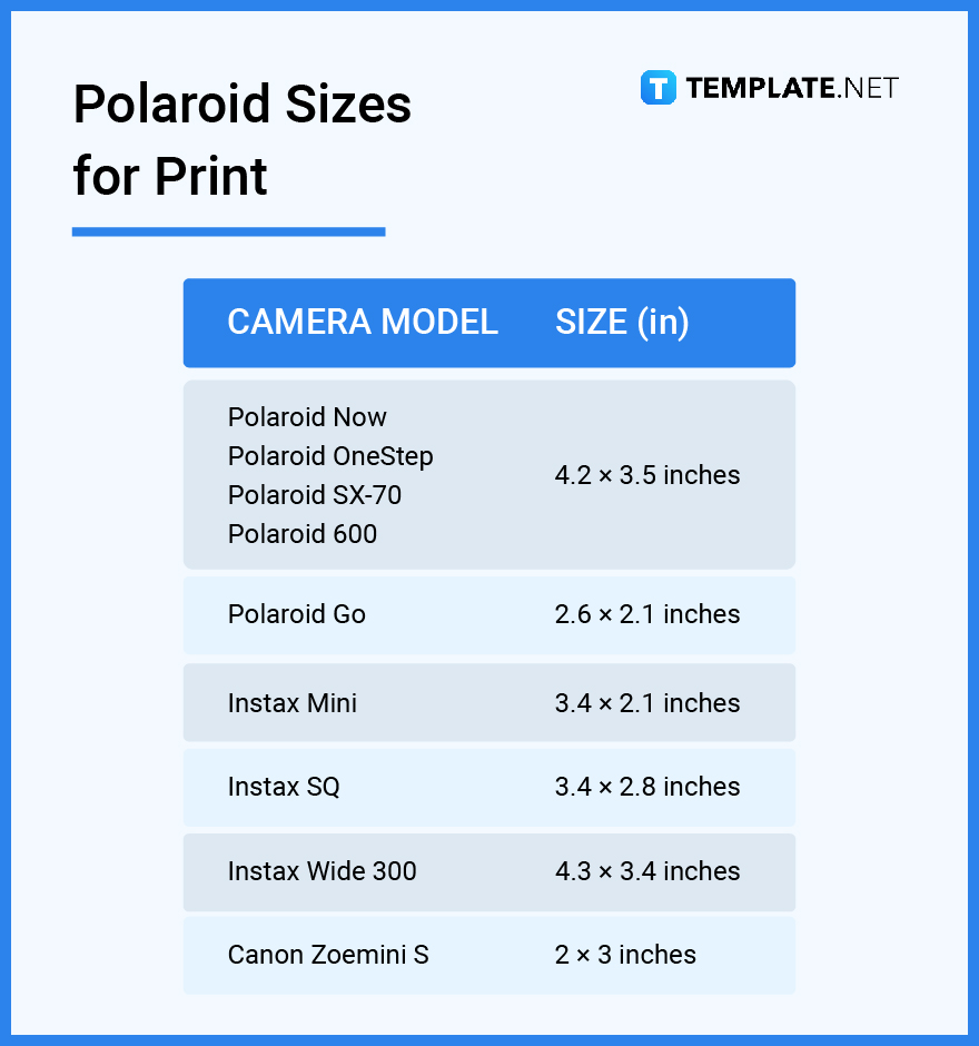 polaroid photo measurements