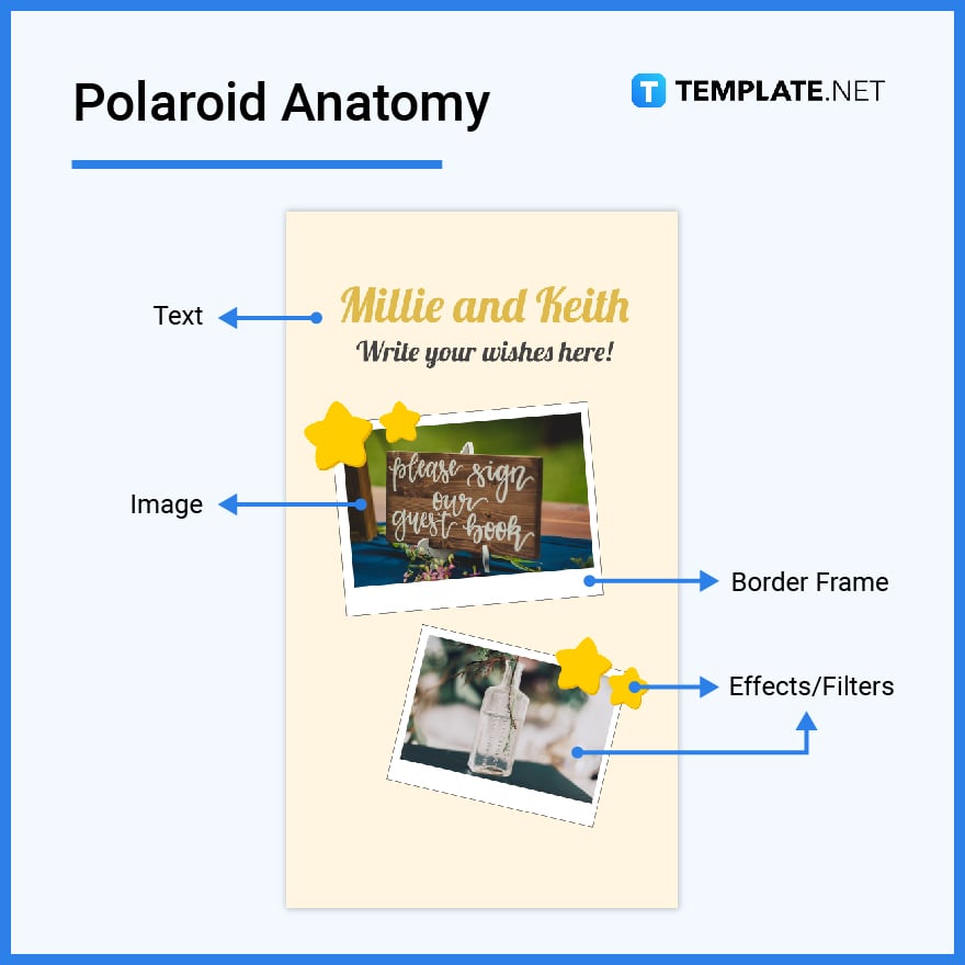 whats in a polaroid parts