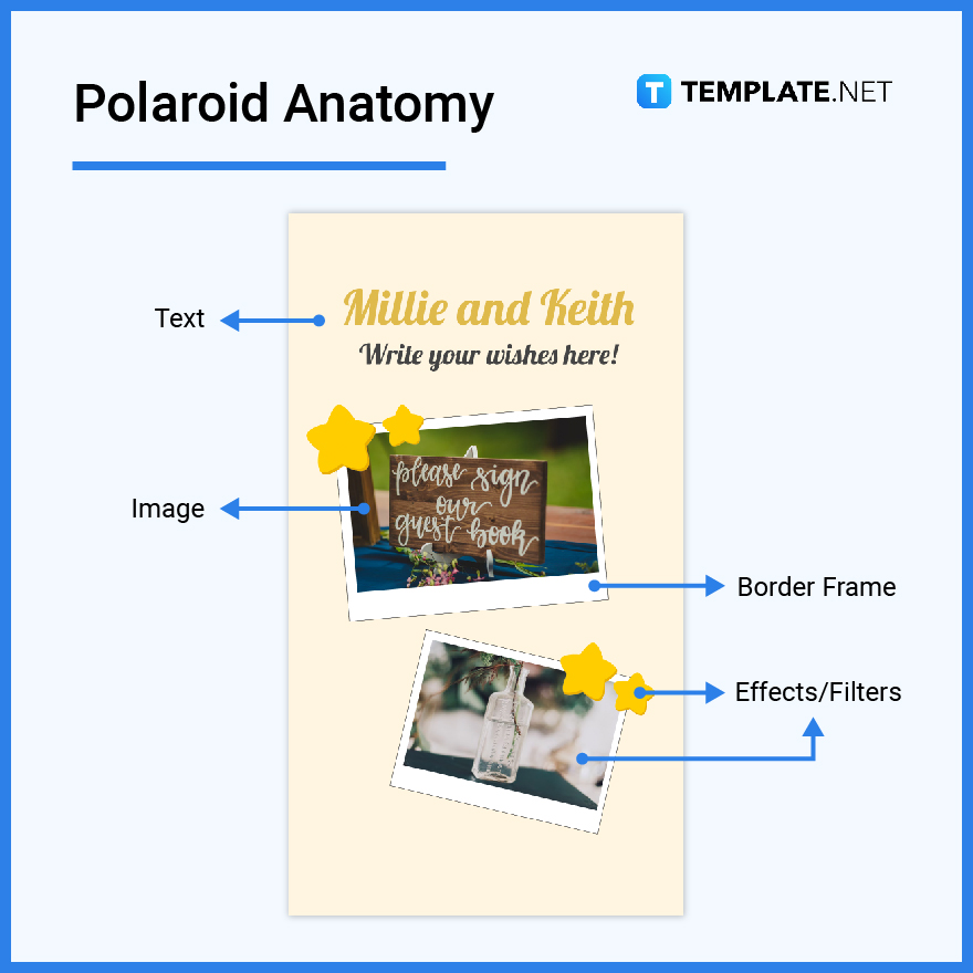 Polaroid What Is a Polaroid? Definition, Types, Uses