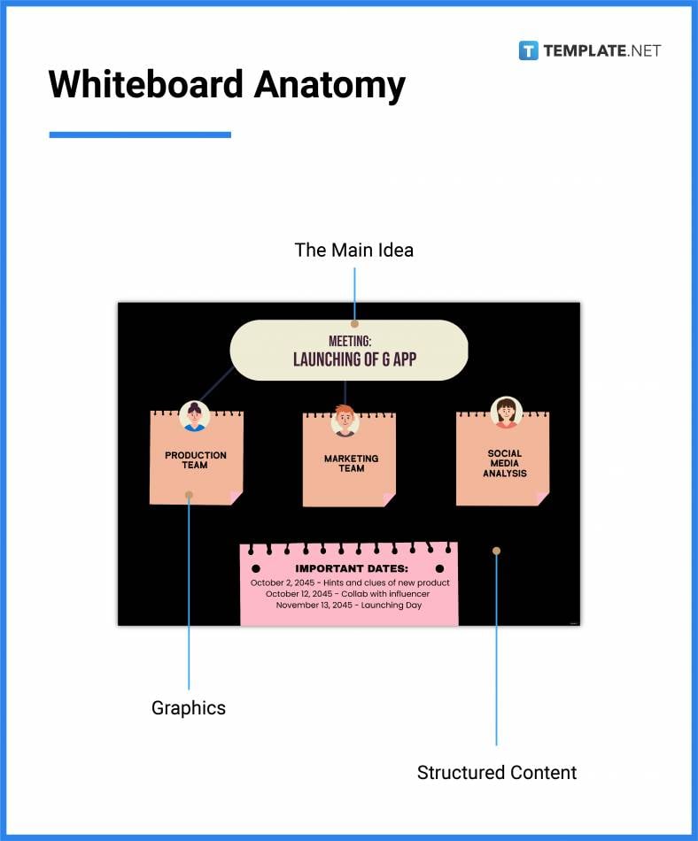 whiteboard anatomy 788x950