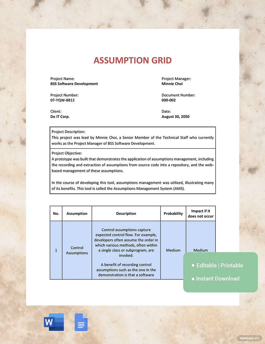 assumption grid ideas and examples