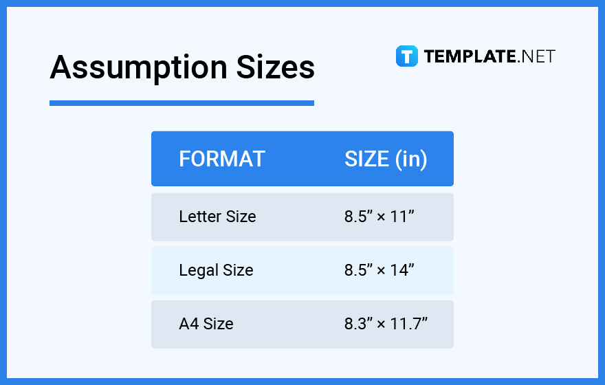 assumption sizes